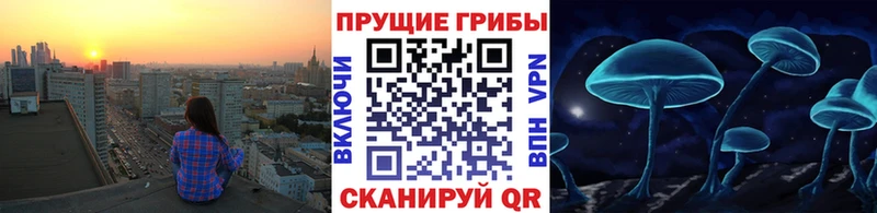 МЕГА ТОР  где продают наркотики  Остров  Псилоцибиновые грибы Psilocybine cubensis 